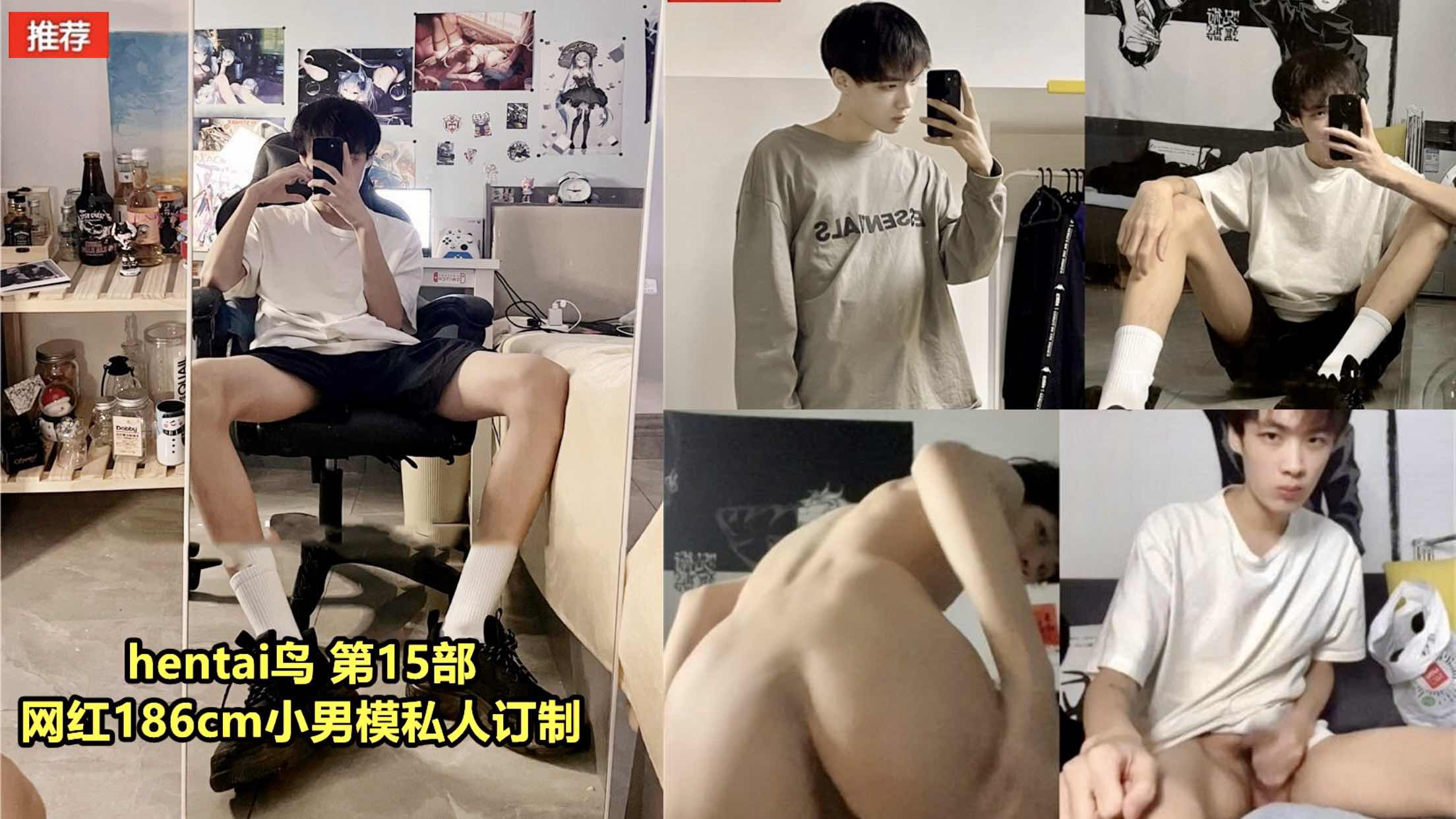 Hentai鳥 第十五部 網紅186小男模私人訂製
